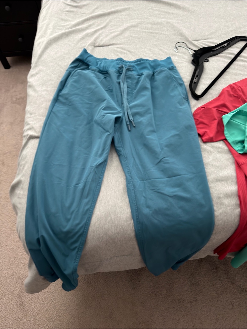 Rhoback Teal Drawstring Jogger Pants